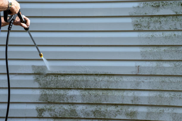 Best Siding Removal and Disposal  in Baton Rouge, LA